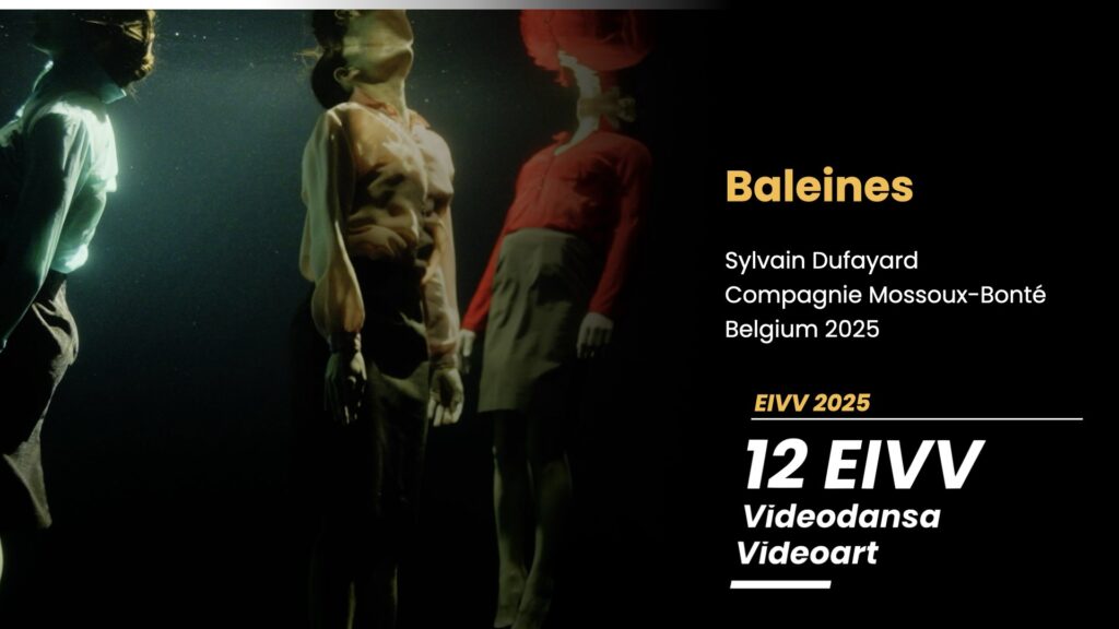 Baleines (Sylvain Dufayard, Belgium, 2025, 8:23)